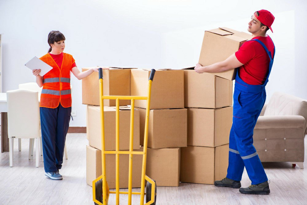 Unlocking Opportunities with Free Manual Handling Courses in Ireland - Manual Handling Training Ireland