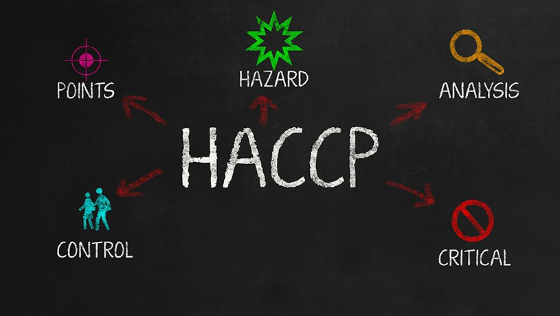 HACCP Training: Essential for Food Safety Compliance in Dublin, Cork, Galway, and Beyond - Manual Handling Training Ireland