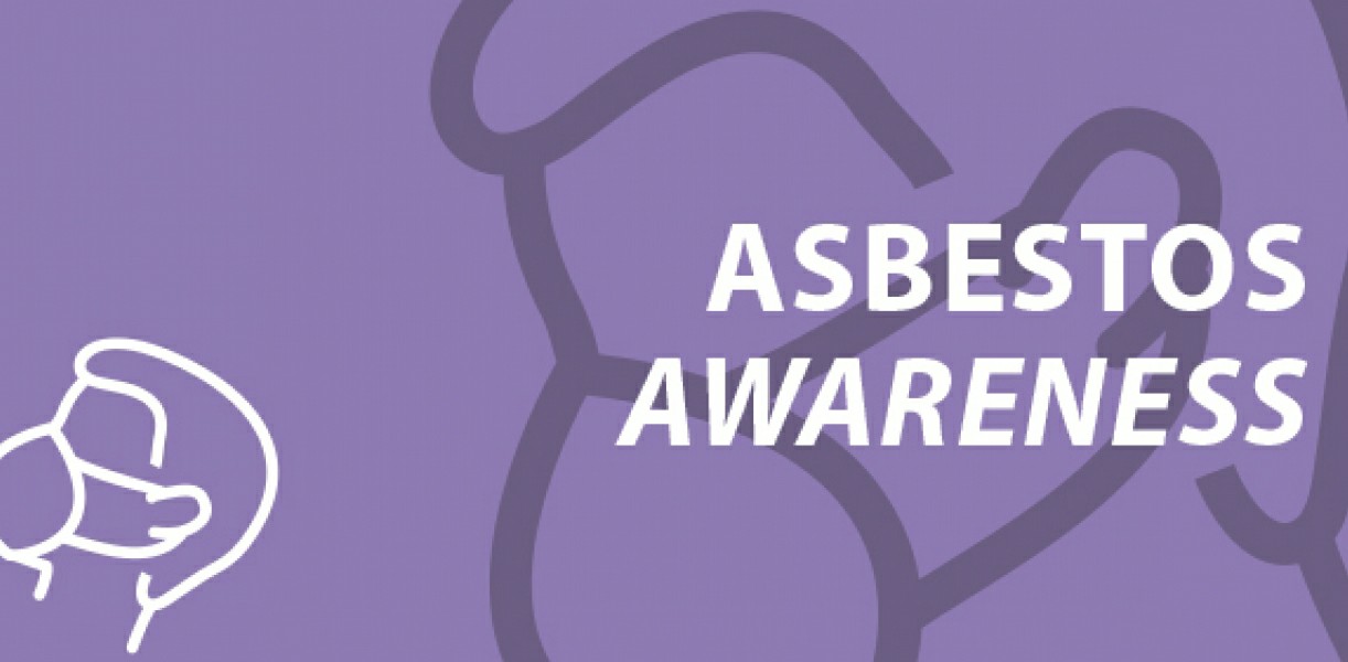 Unlock Workplace Safety: Online Asbestos Awareness Training for Irish Professionals - Irish Manual Handling